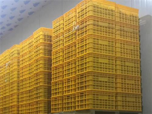 重庆专业食品冷库设计