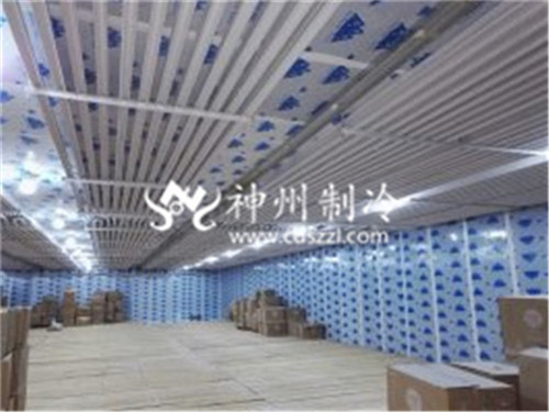 重庆小型保鲜库安装
