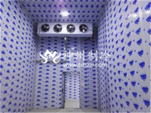 广元专业速冻库价格