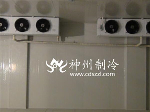德阳专业速冻库价格