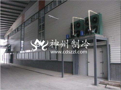 自贡大型保鲜库安装