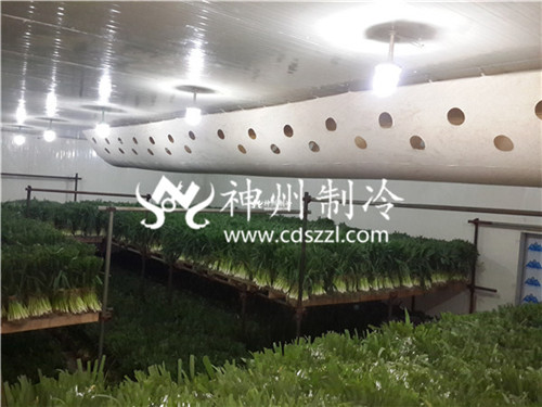 云南小型蔬菜保鲜冷库安装
