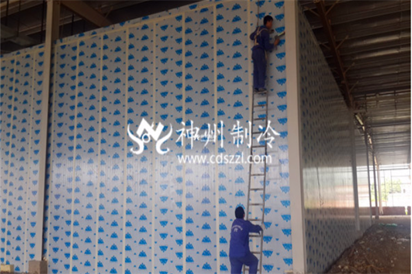 成都冻库应该怎么设计才能节省能源？